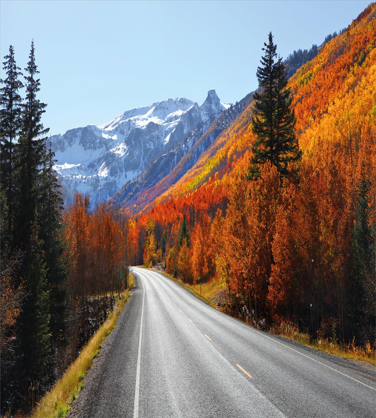 Highway Countryside Travel — Pattern