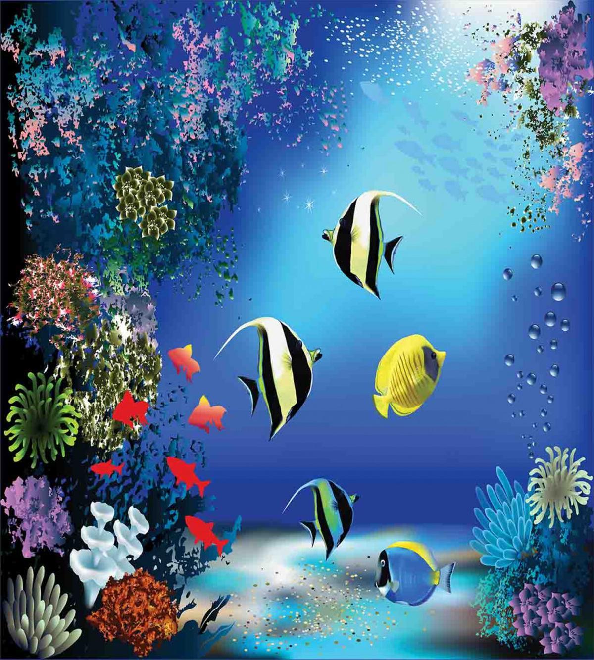 Ocean Coral Reefs Tropic — Pattern