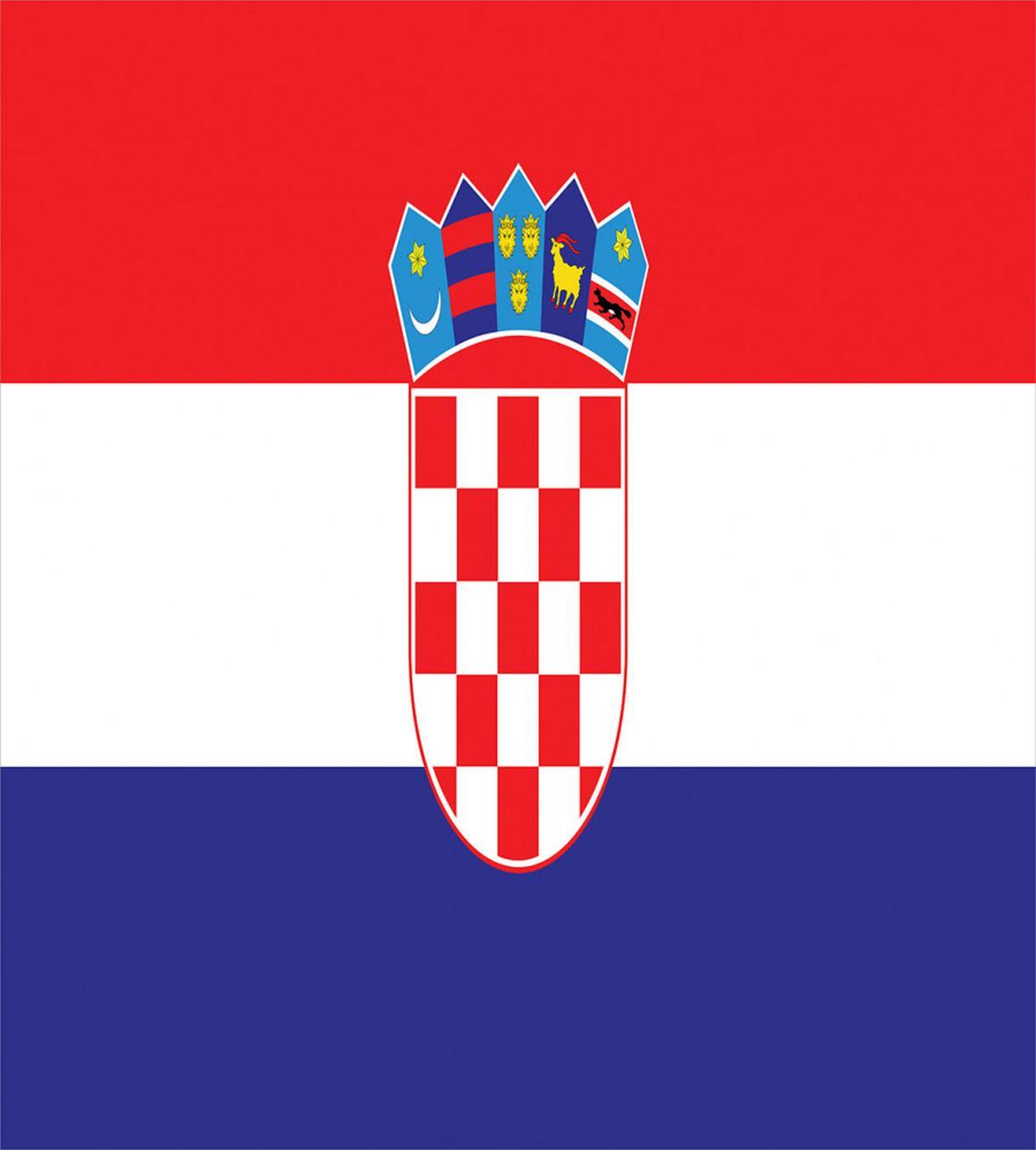 Simple Design Flag Print — Pattern