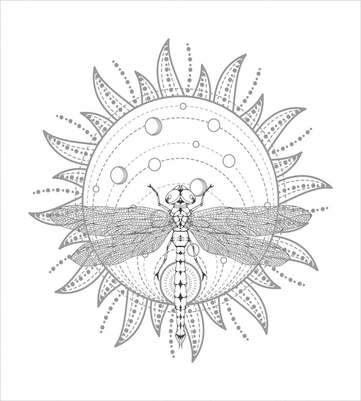 Neutral Sun and Dragonfly — Pattern