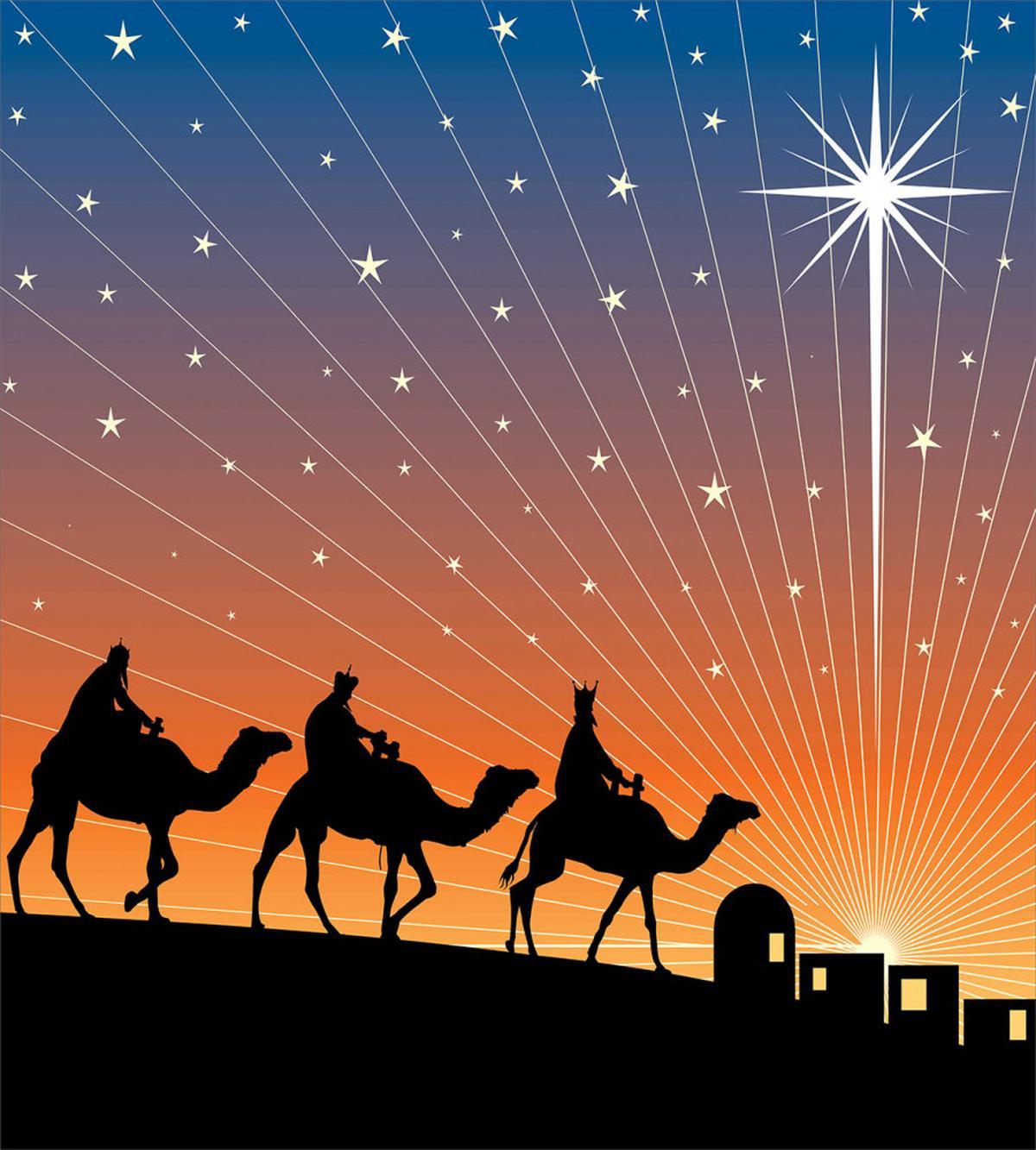 Star of Bethlehem Camel Wise — Pattern