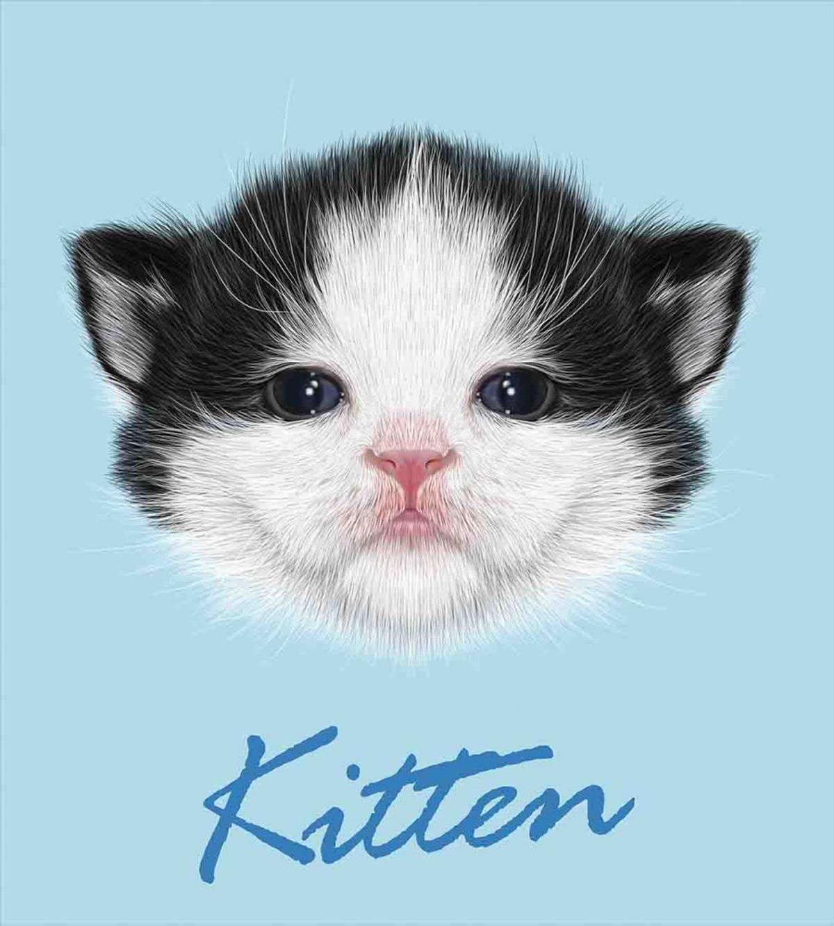 Furry Pink Nose Kitten — Pattern