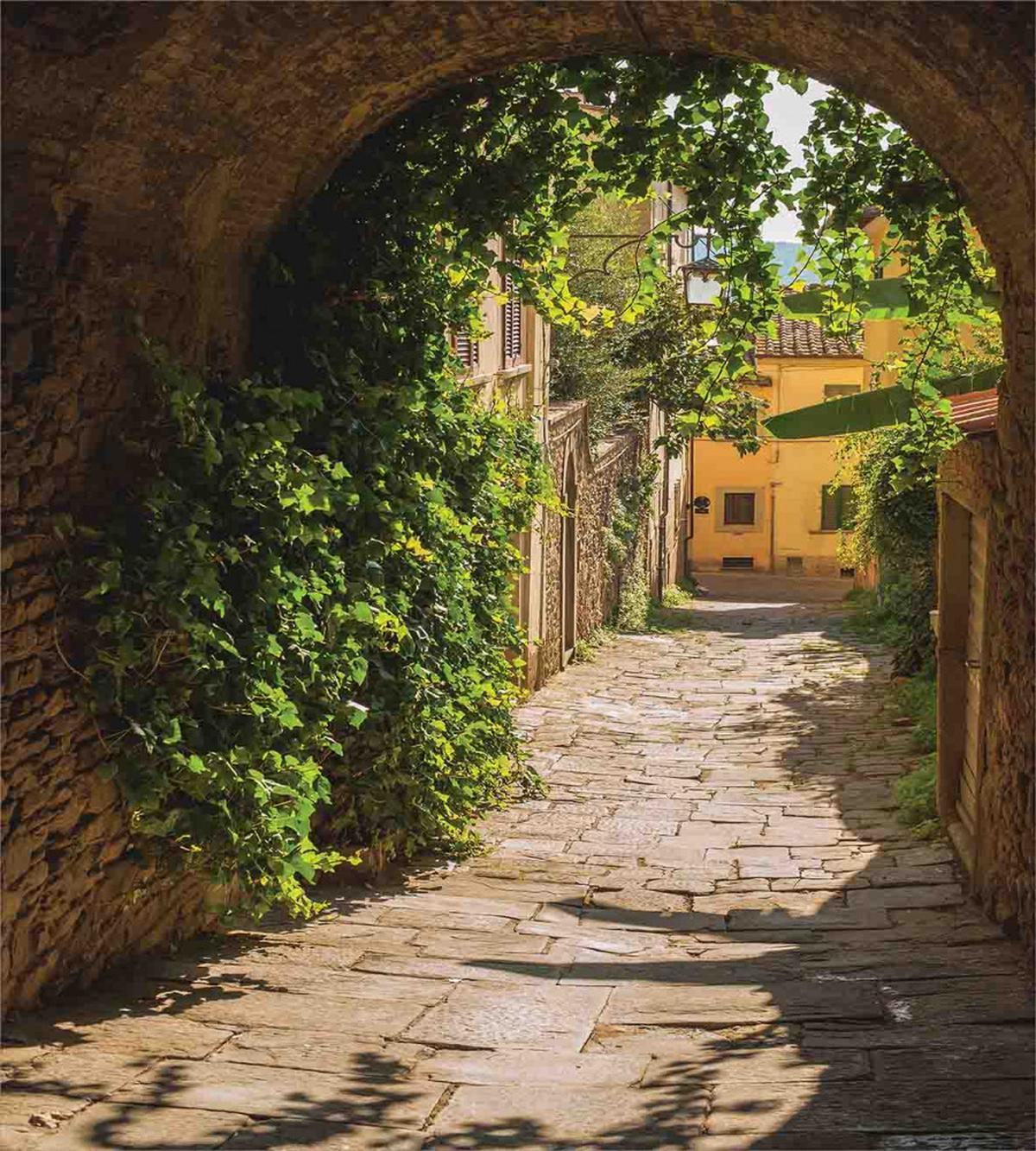 Old Street of Tuscany — Pattern