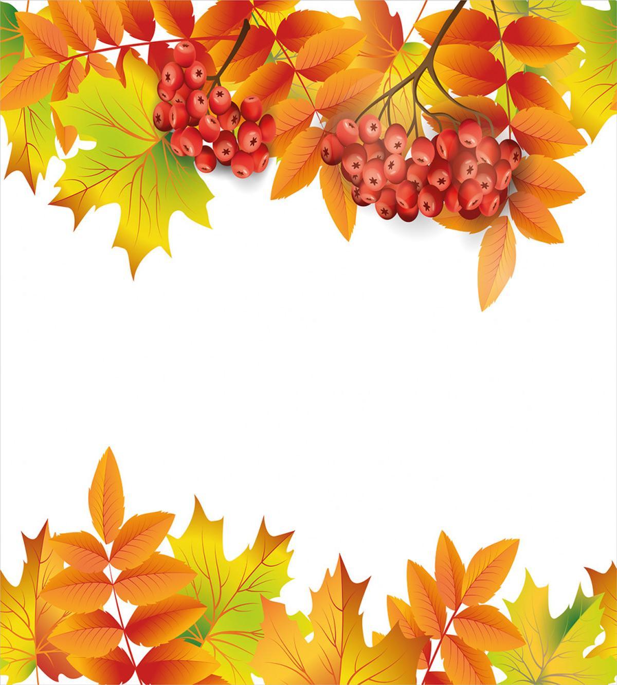 Autumn Branches Border — Pattern