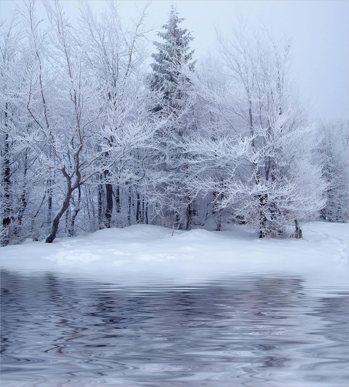 Winter Blizzard Forest — Pattern