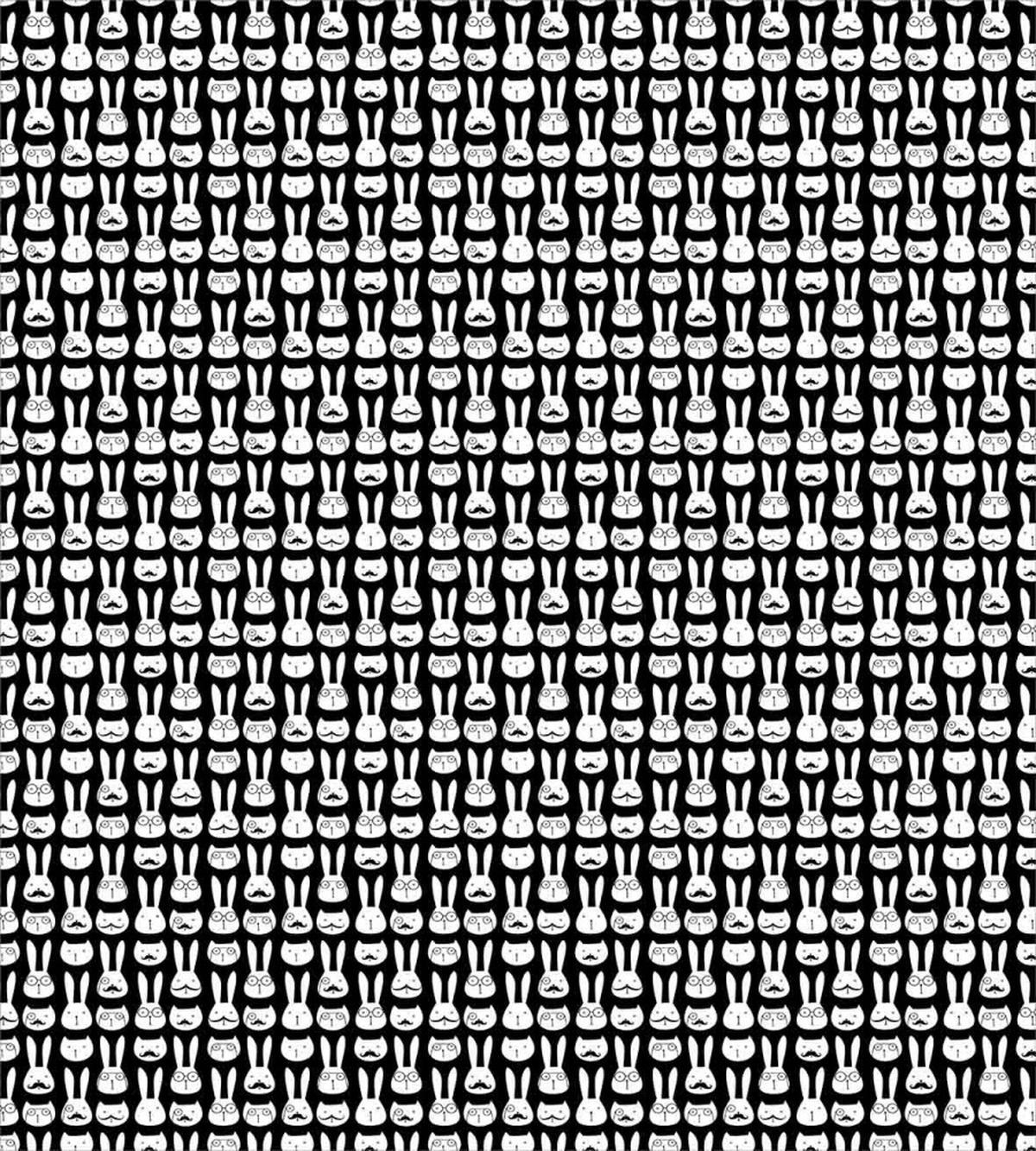 Intellectual Rabbit Cat — Pattern