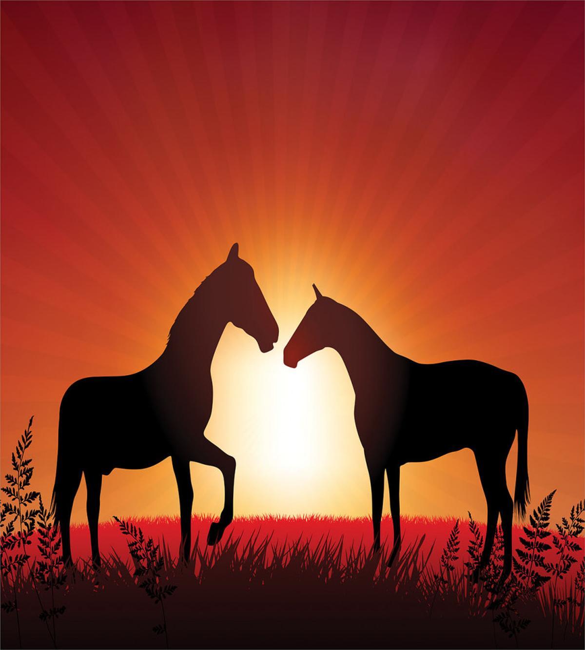Horses Silhouette on Sunset — Pattern