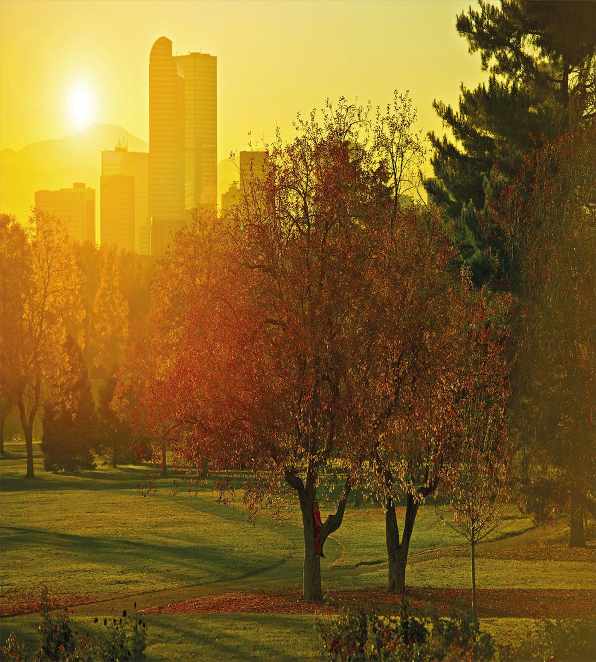 Sunset over City Park — Pattern