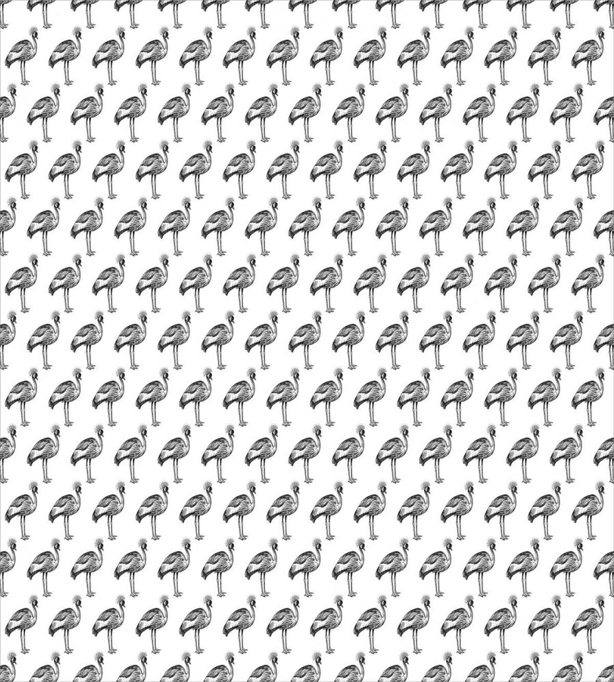 Monochrome Crowned Cranes — Pattern