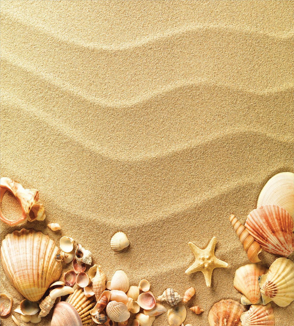 Various Seashells on Sand — Pattern