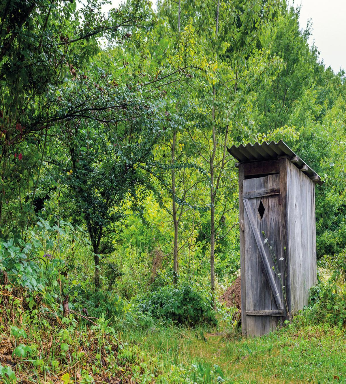 Spring Forest Worn Hut — Pattern