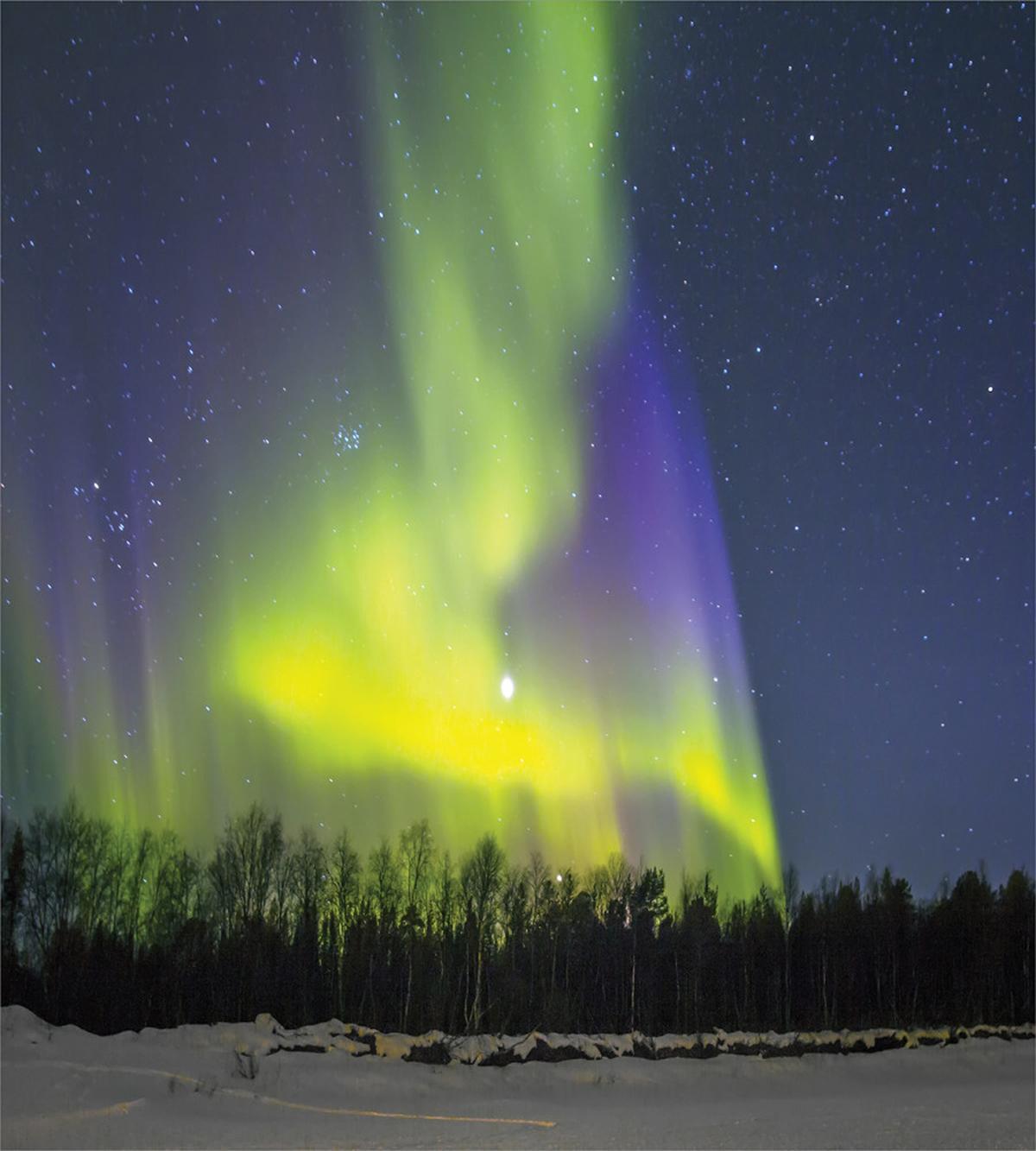Aurora Borealis Forest — Pattern