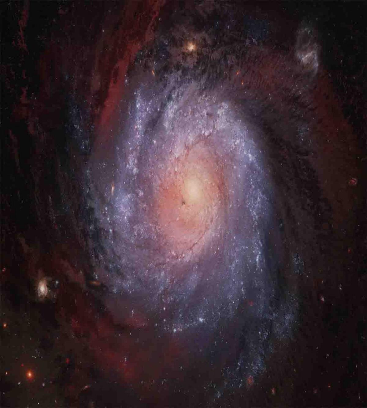 Stardust View in Space — Pattern