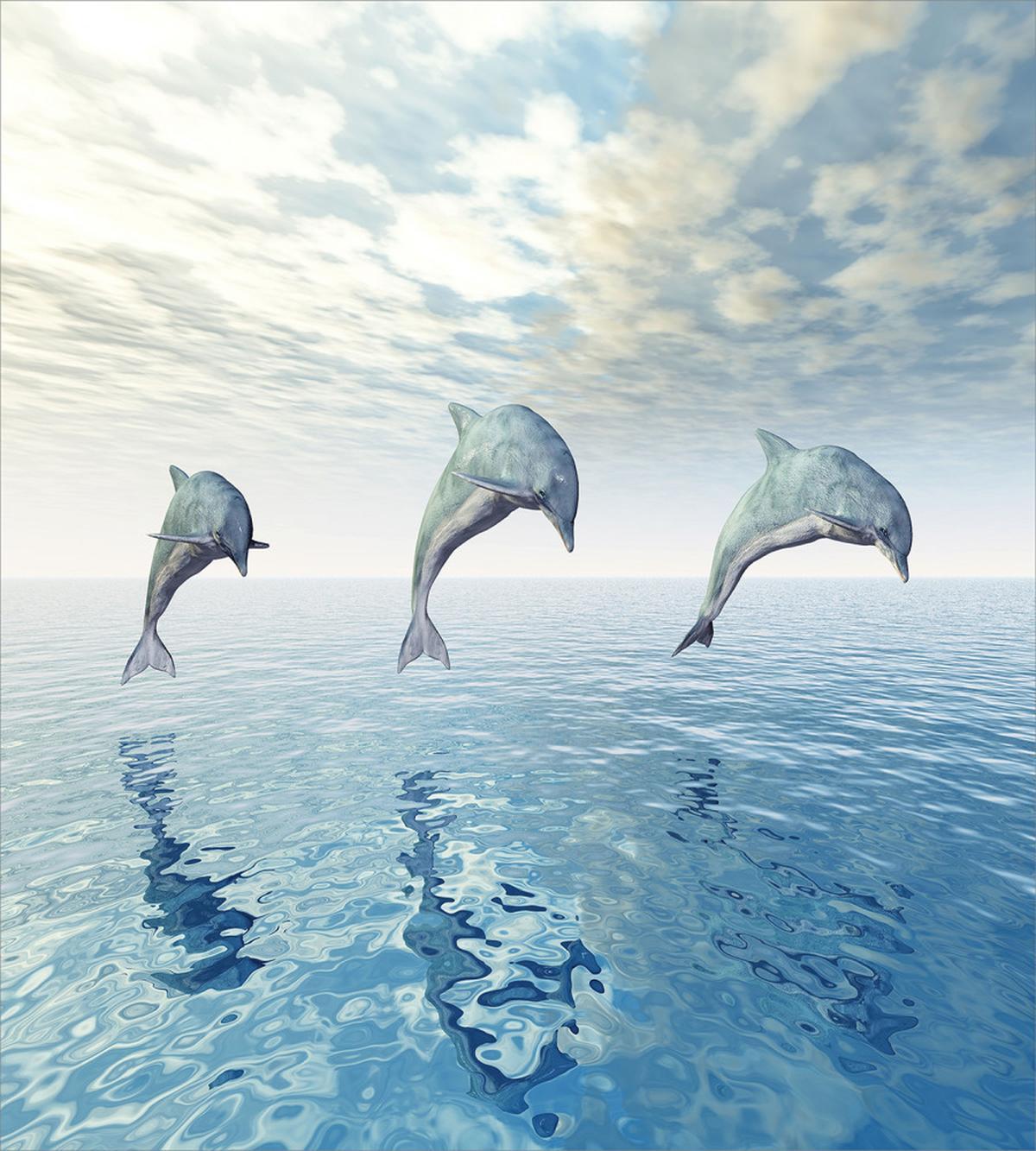 Sweet Fish on Ocean Graphic — Pattern