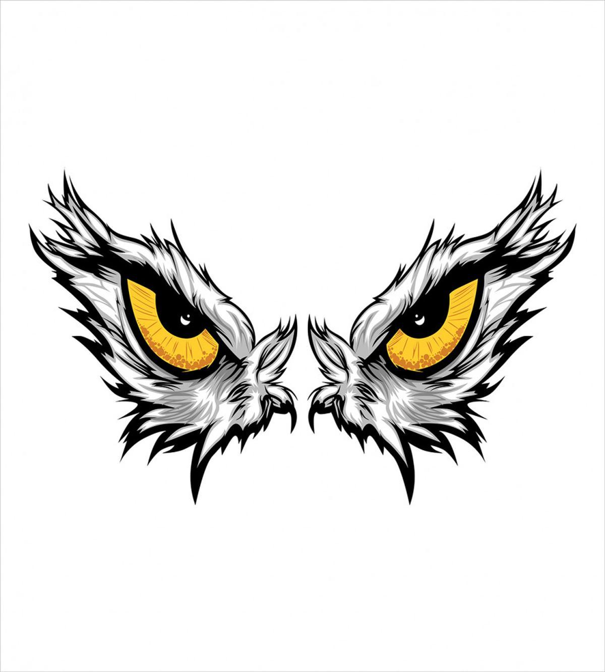 Angry Gaze of Bird of Prey — Pattern