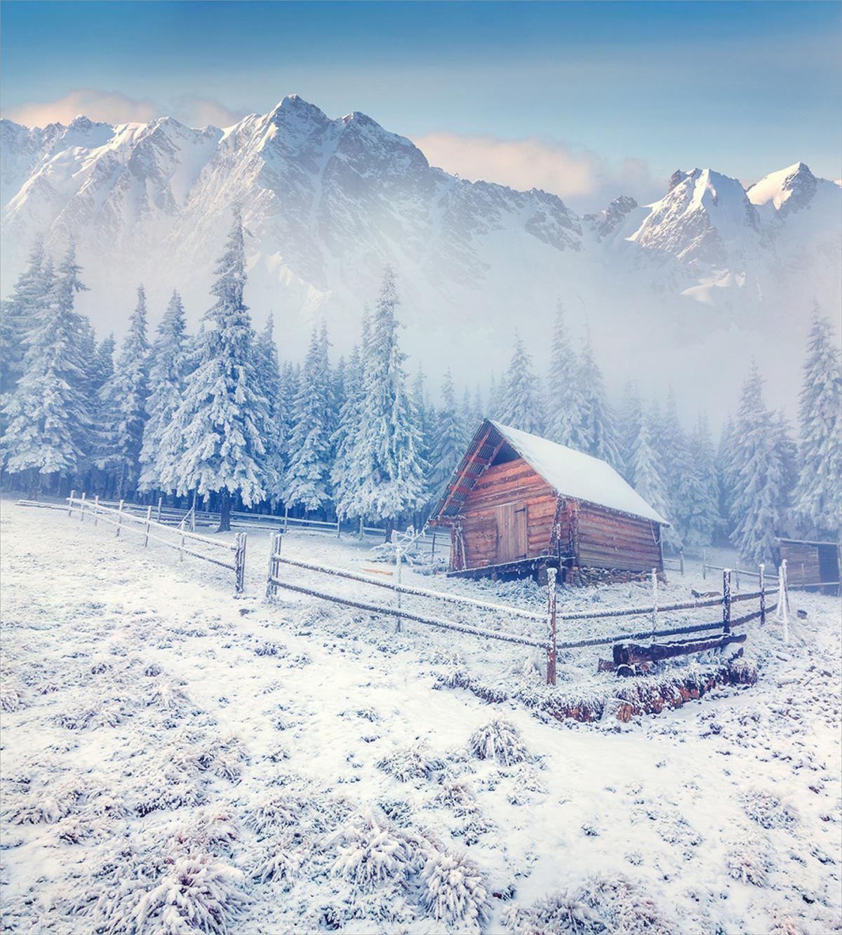 Old Farmhouse Rustic — Pattern