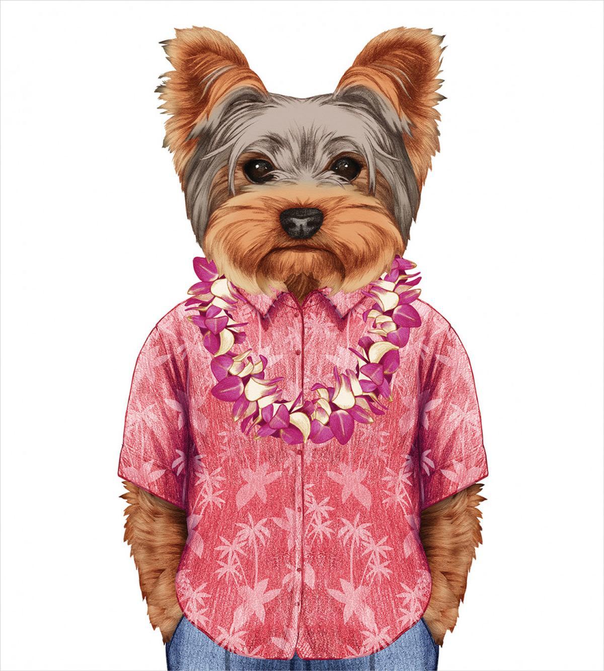 Dog in Humanoid Form — Pattern