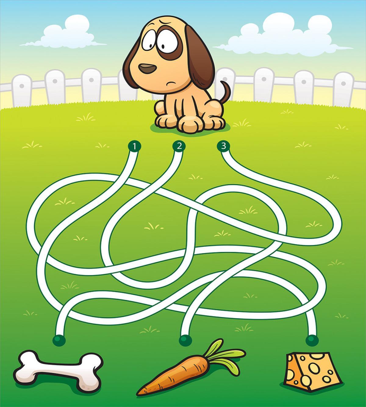 Hungry Puppy — Pattern
