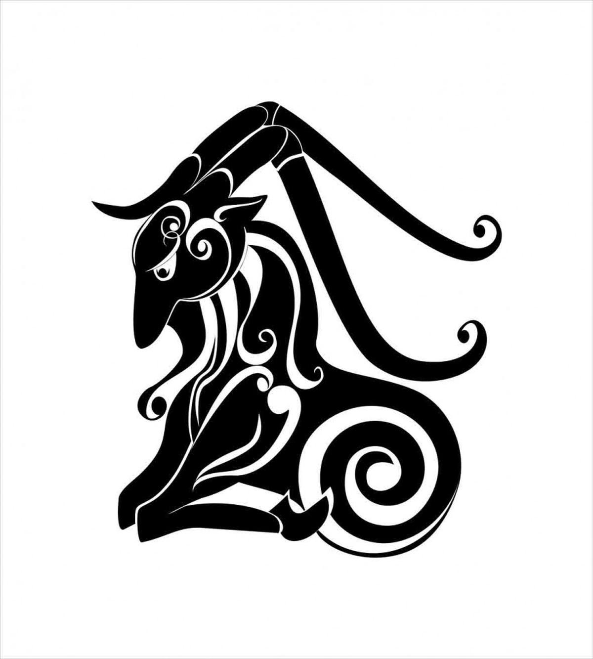Animal Design — Pattern