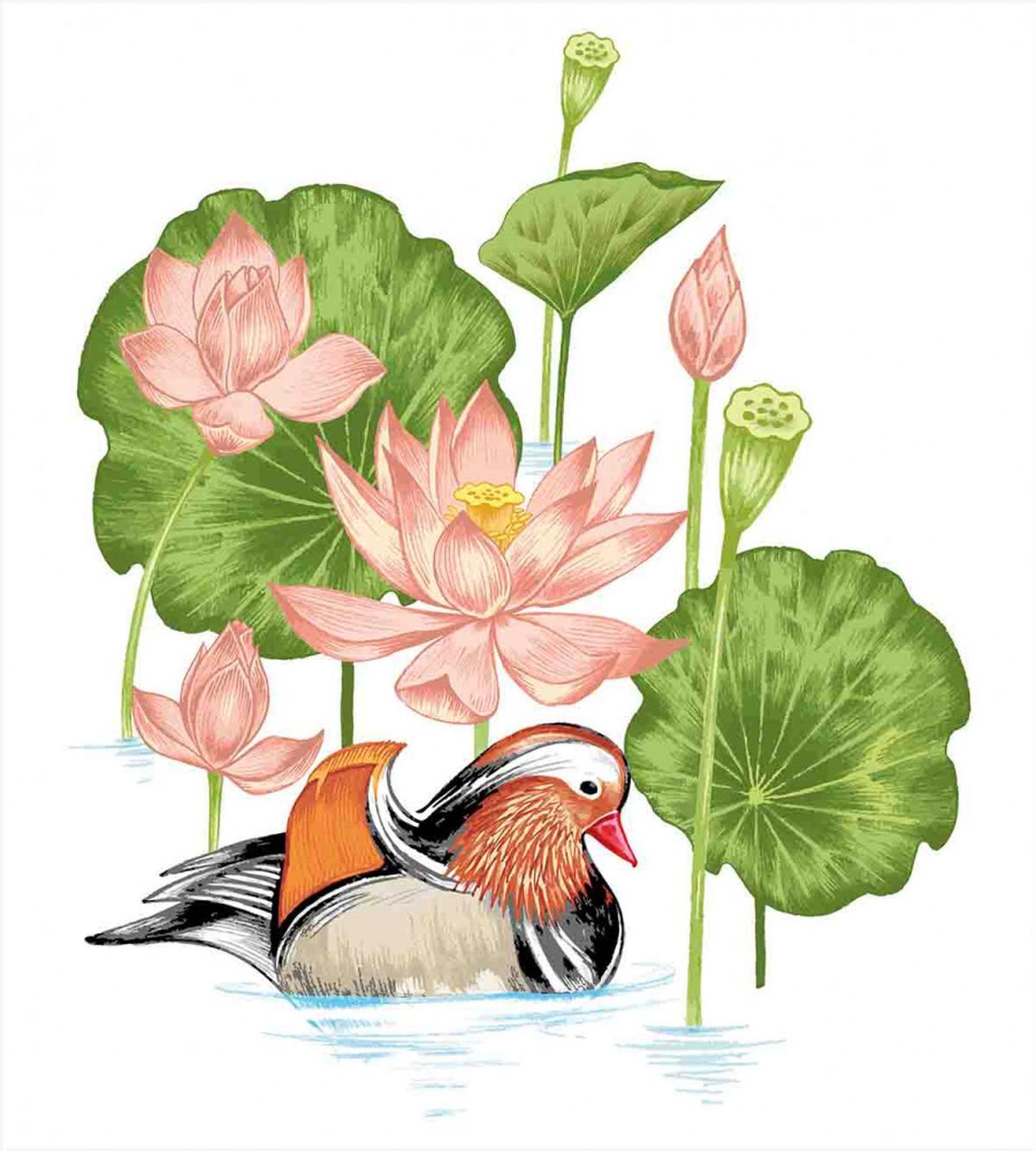 Mandarin in Pond — Pattern