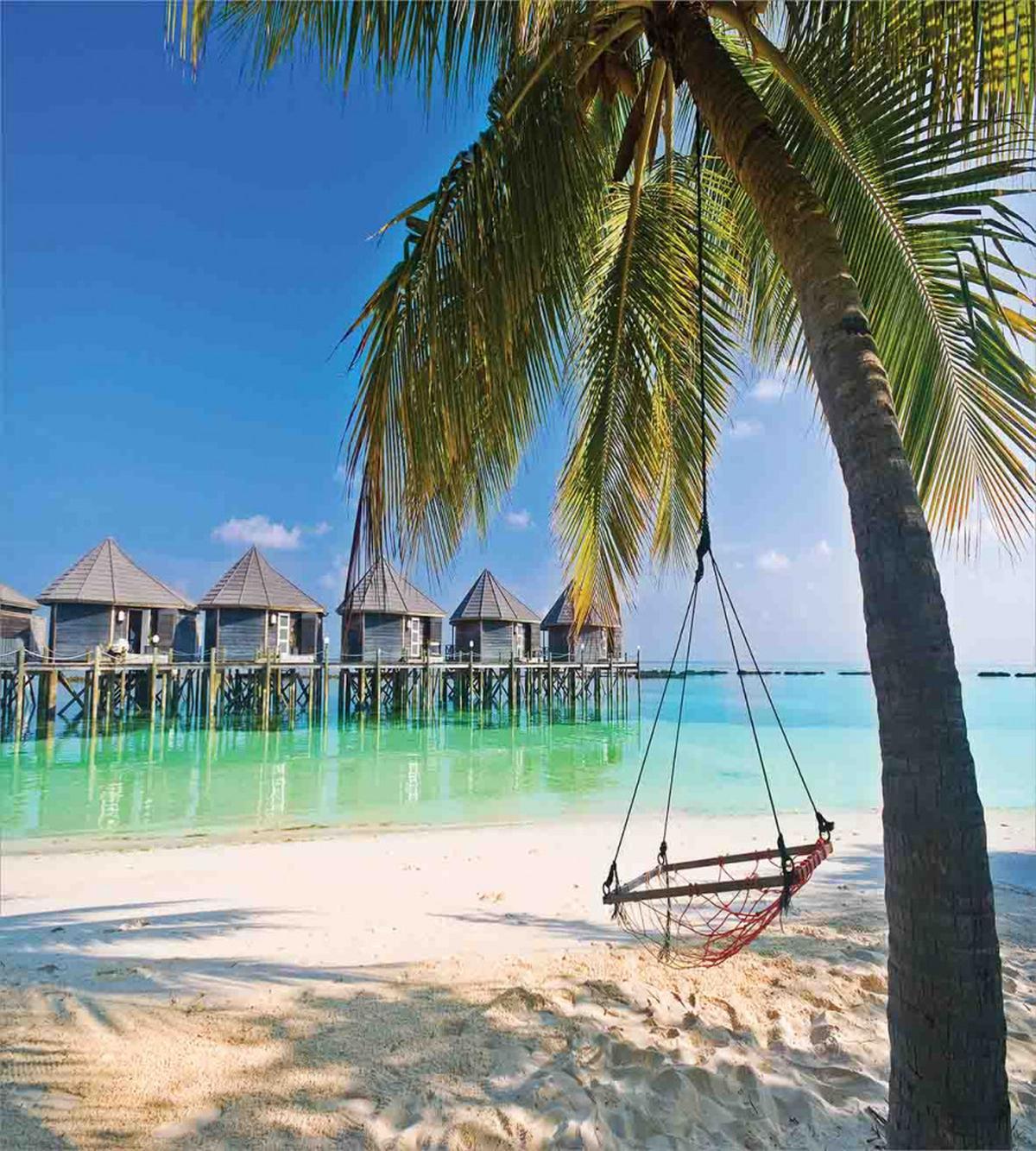 Caribbean Tropical Coast — Pattern