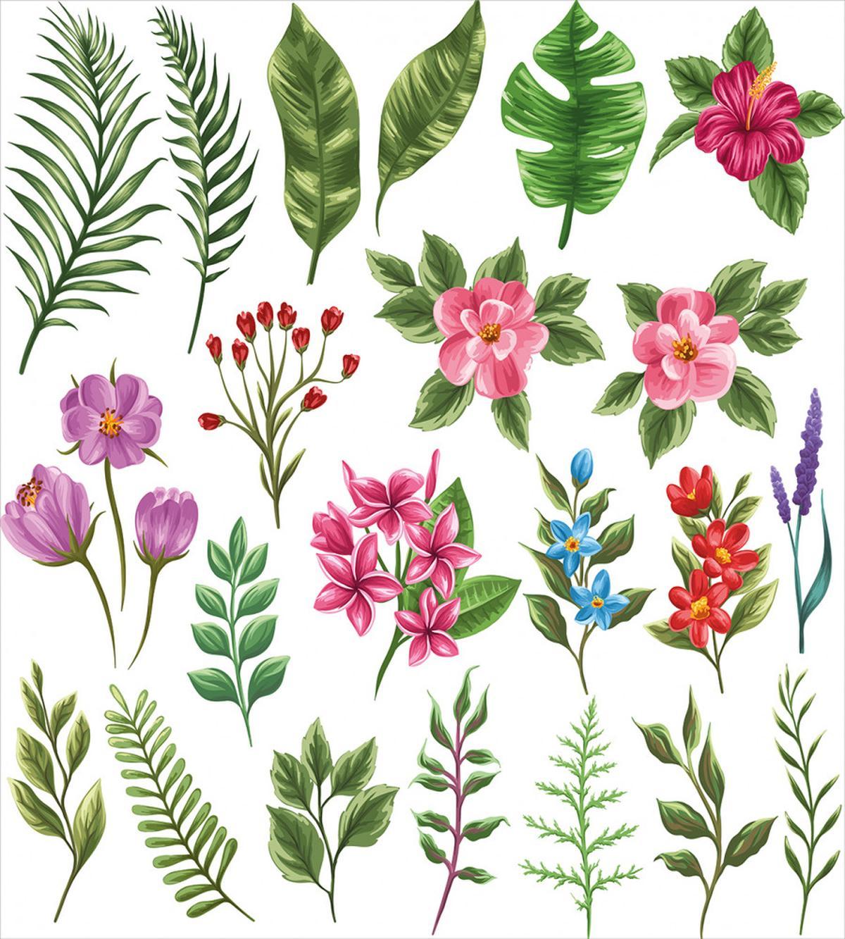 Exotic Flowers and Ferns — Pattern