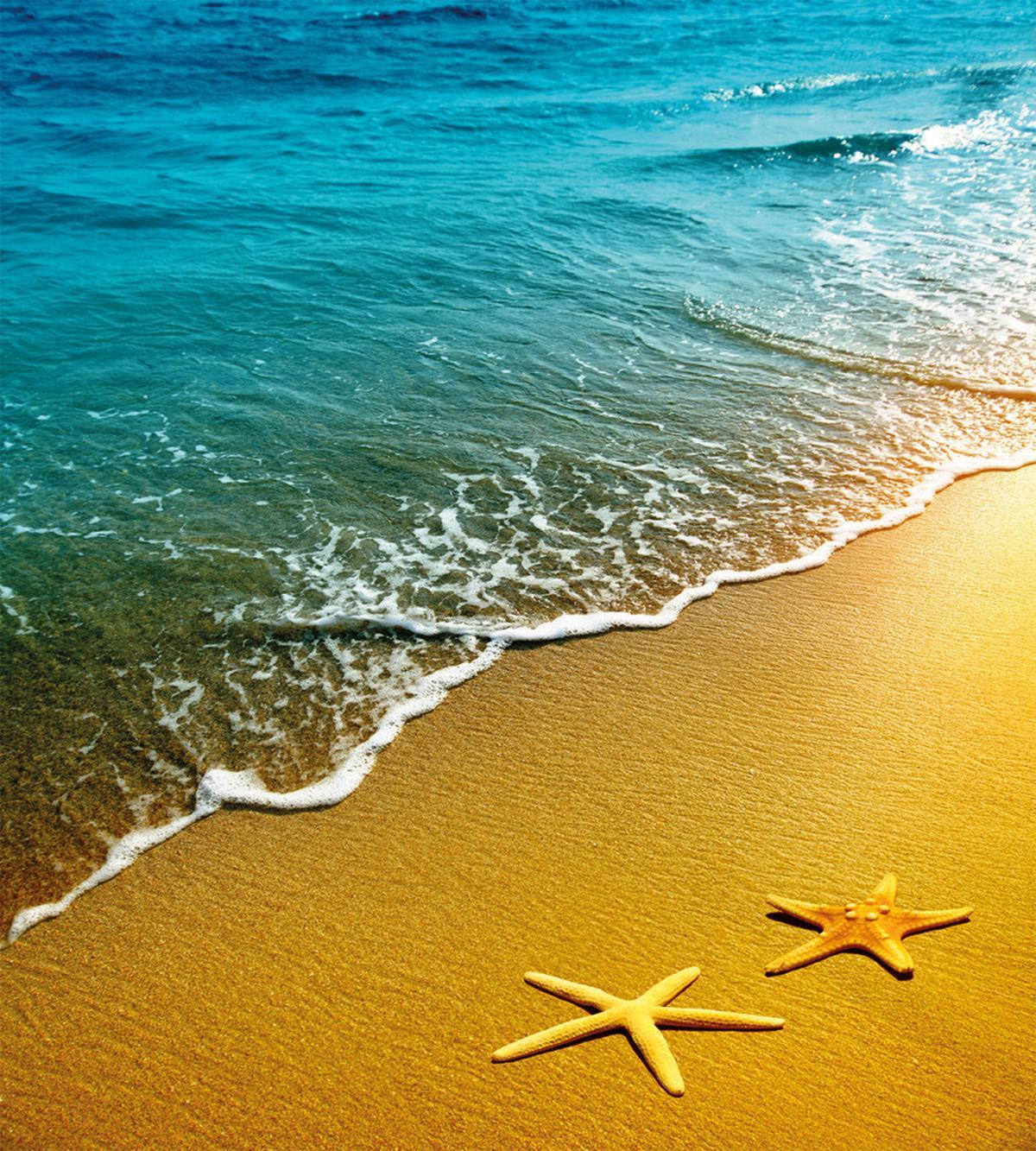 Summer Sunset — Pattern