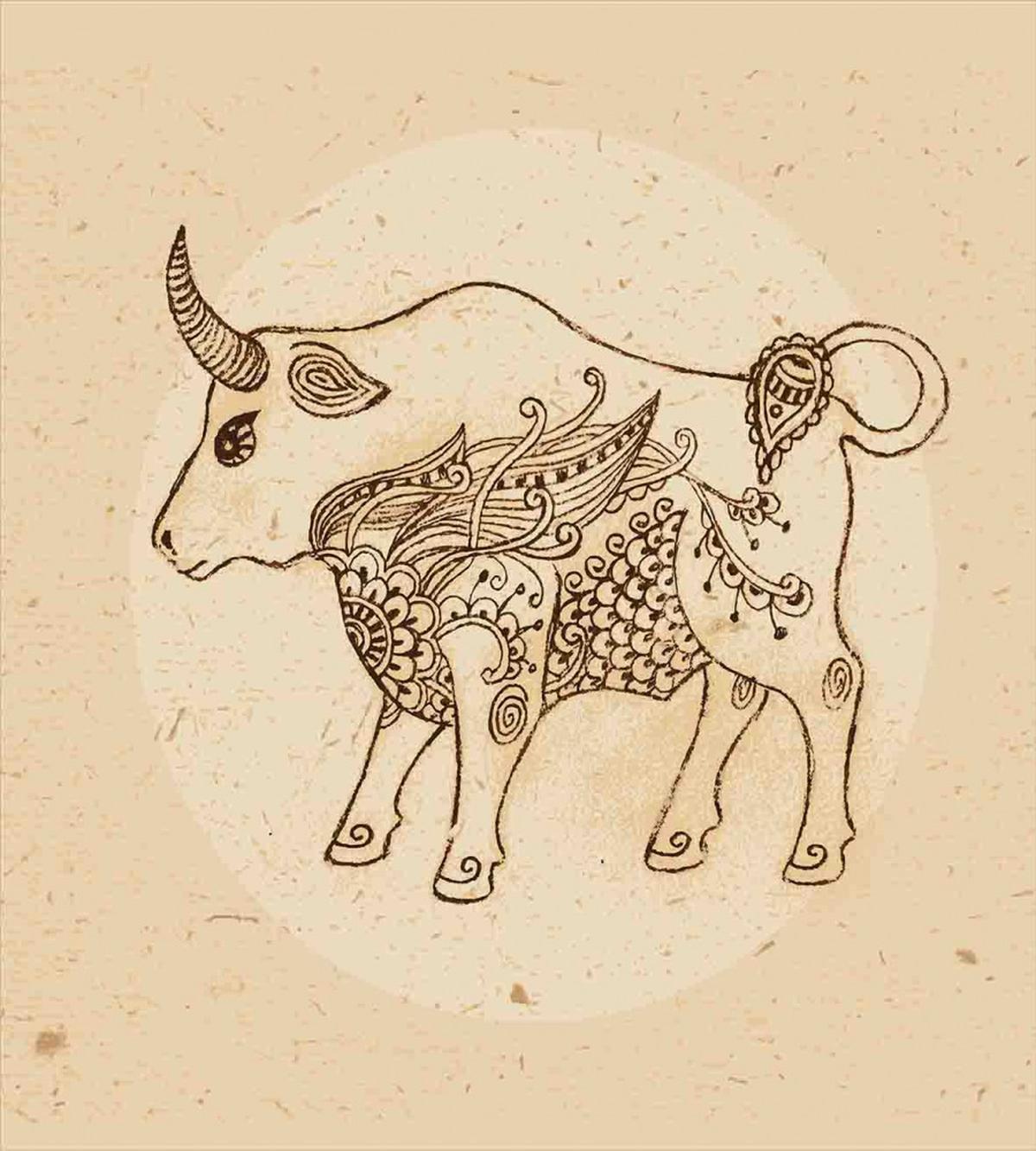 Ornate Ox — Pattern
