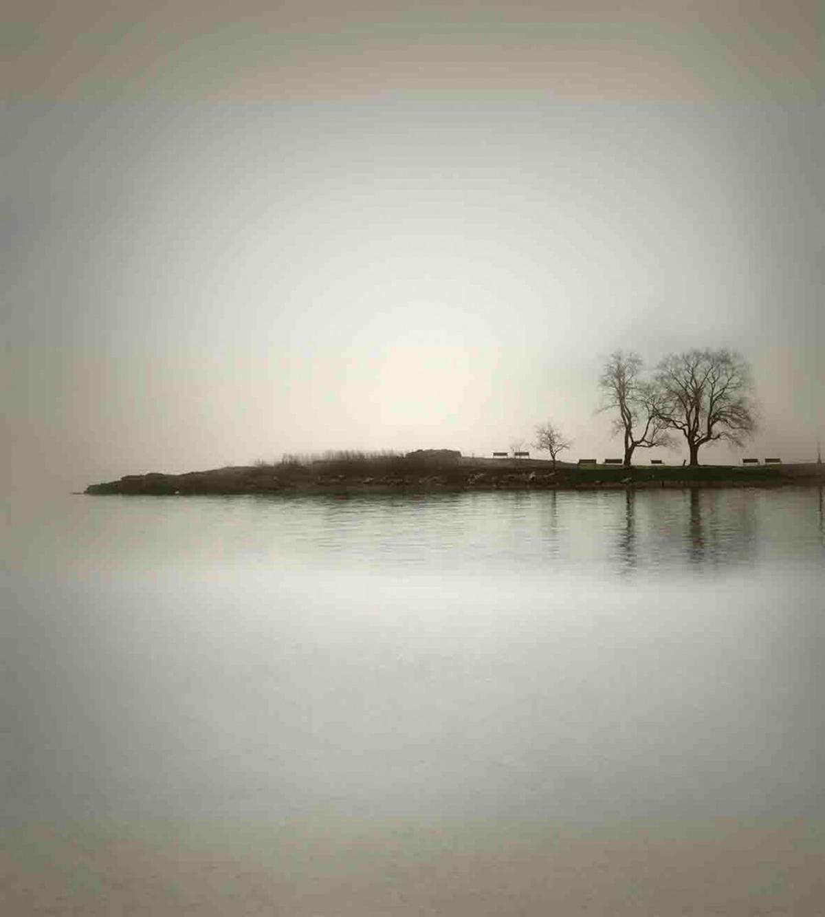 Fall Trees on Island — Pattern
