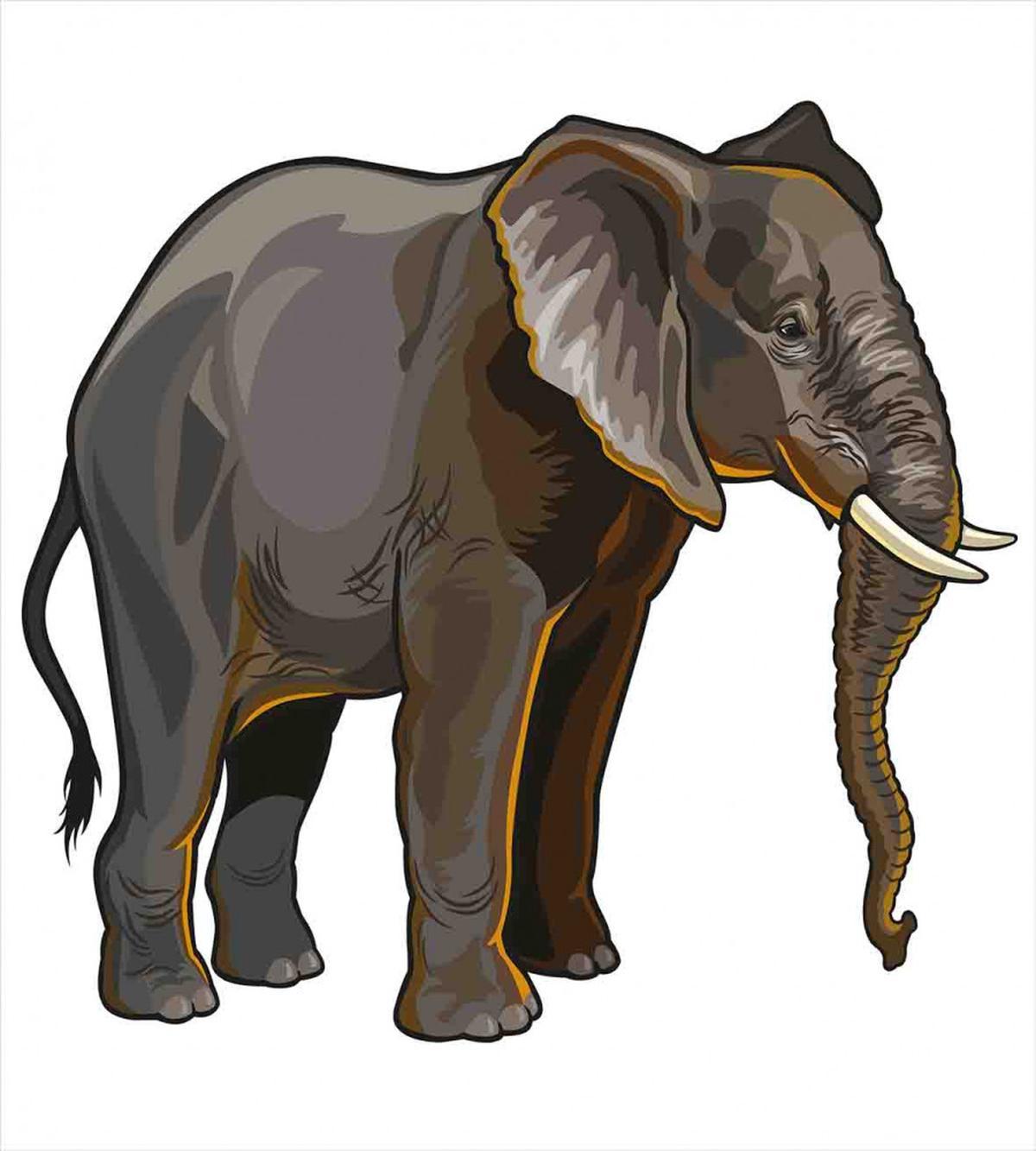 Exotic Safari Fauna — Pattern