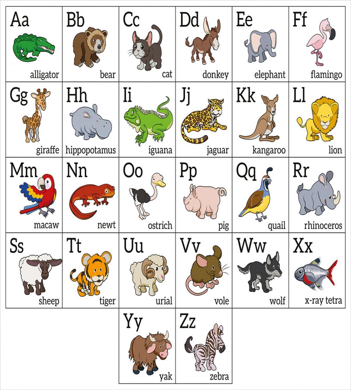 Alphabet Chart — Pattern