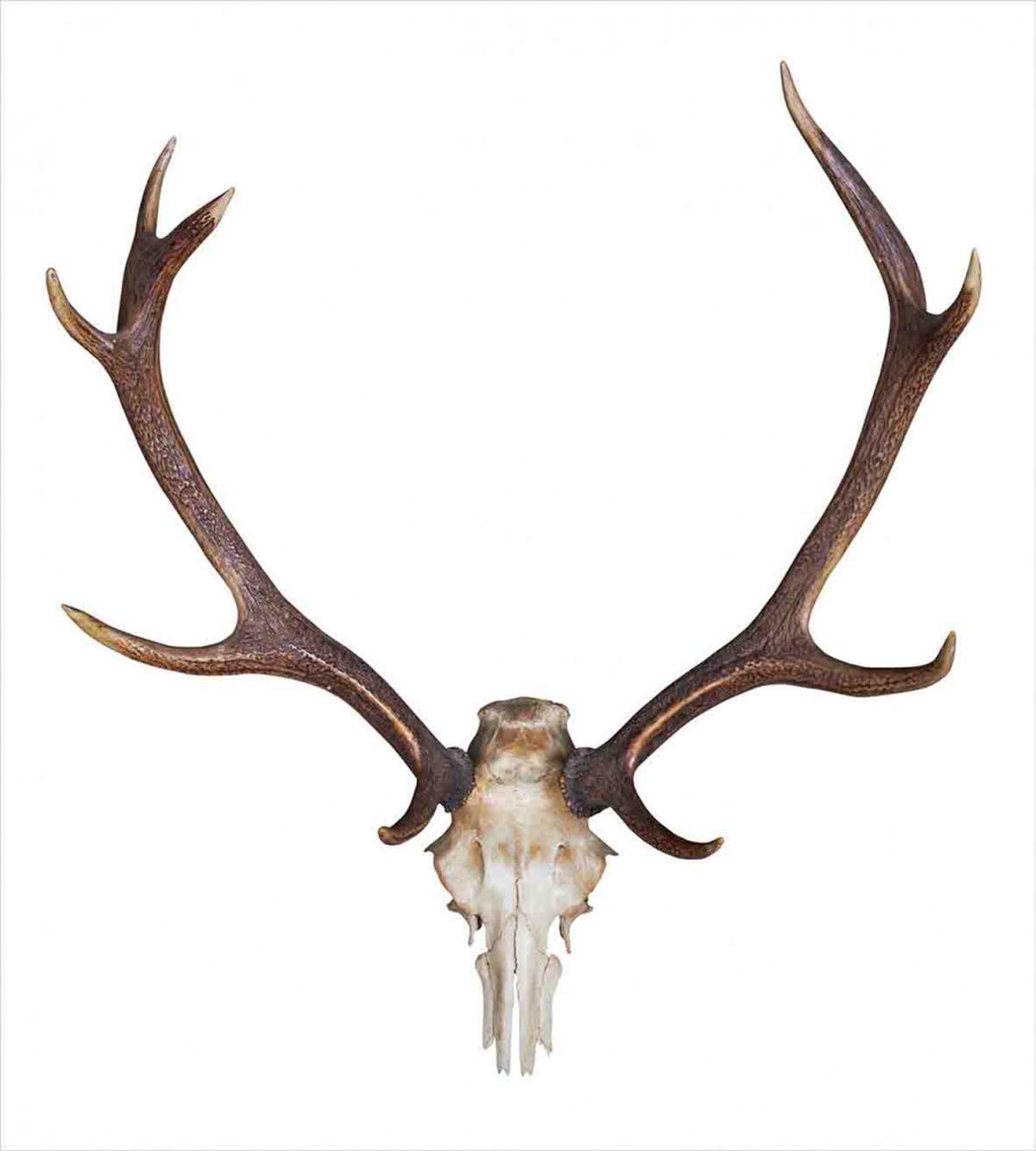 Antlers Skeleton Hunter — Pattern