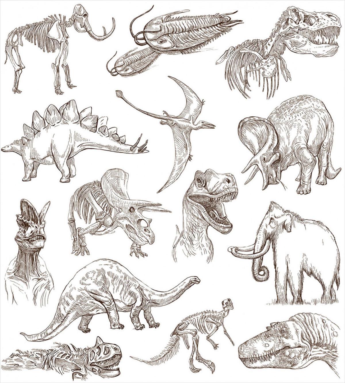 Dinosaurs Skeleton — Pattern