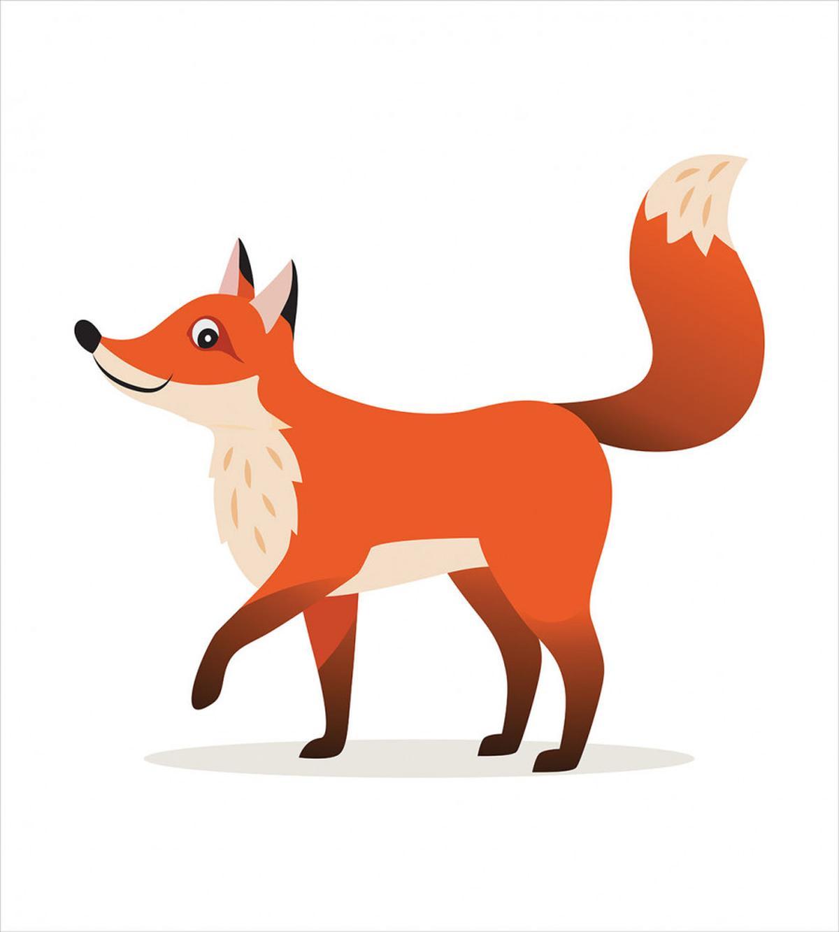 Coyote Graphic — Pattern