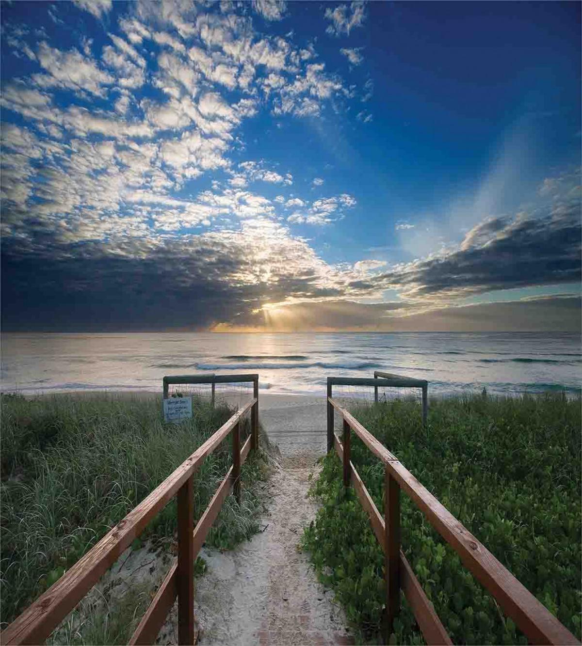 Pathway to Sea Swimming — Pattern