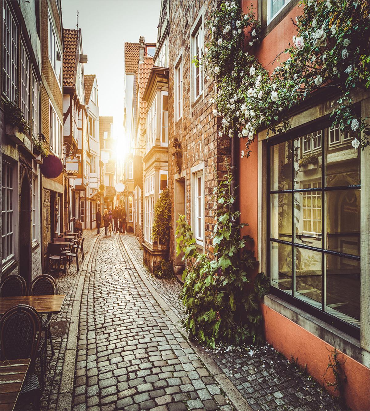 Scenes from Europe Vintage — Pattern