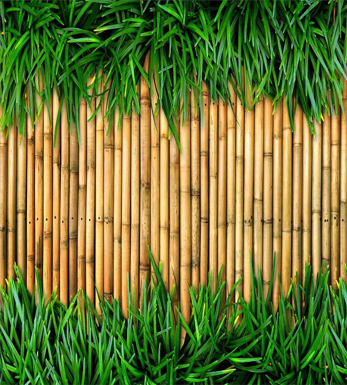 Bamboo — Pattern