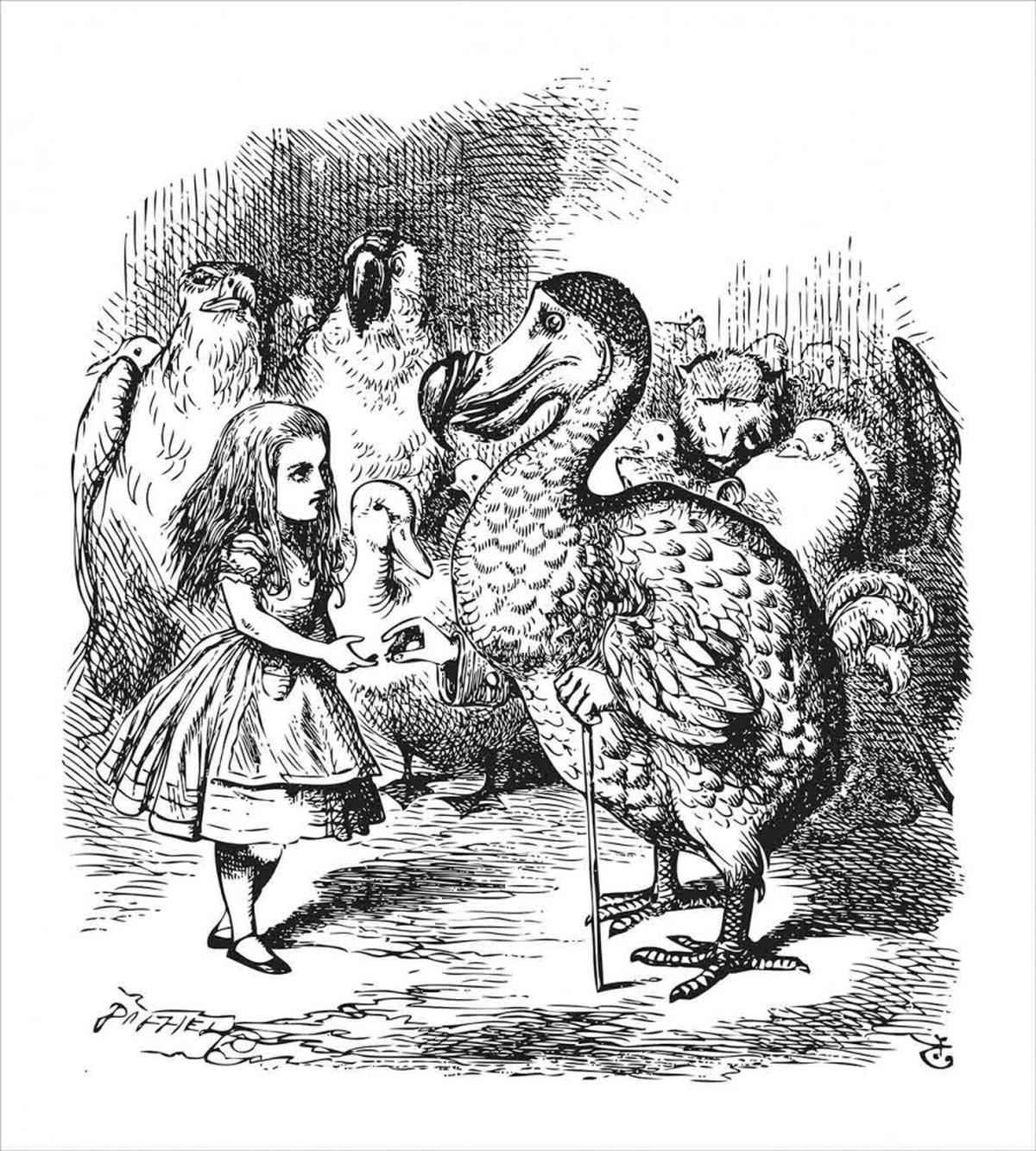 Alice and the Dodo Sketch — Pattern