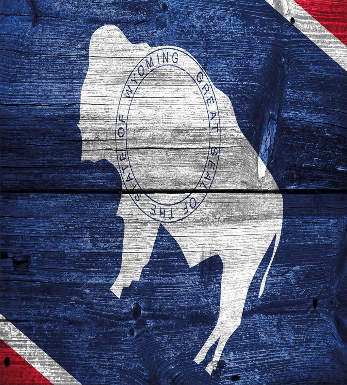 Equality State Flag Wooden — Pattern