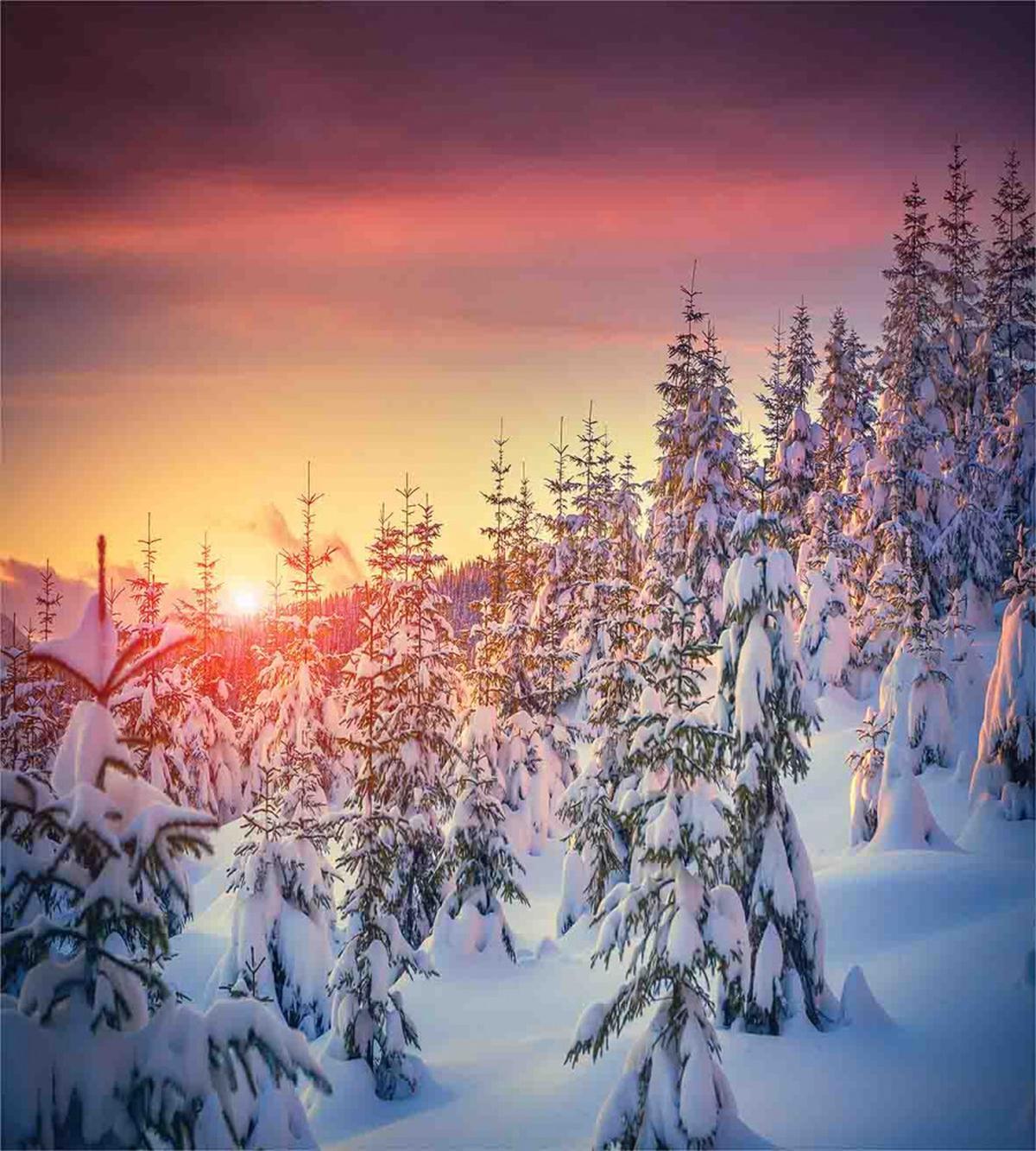 Sunrise at Wintertime — Pattern