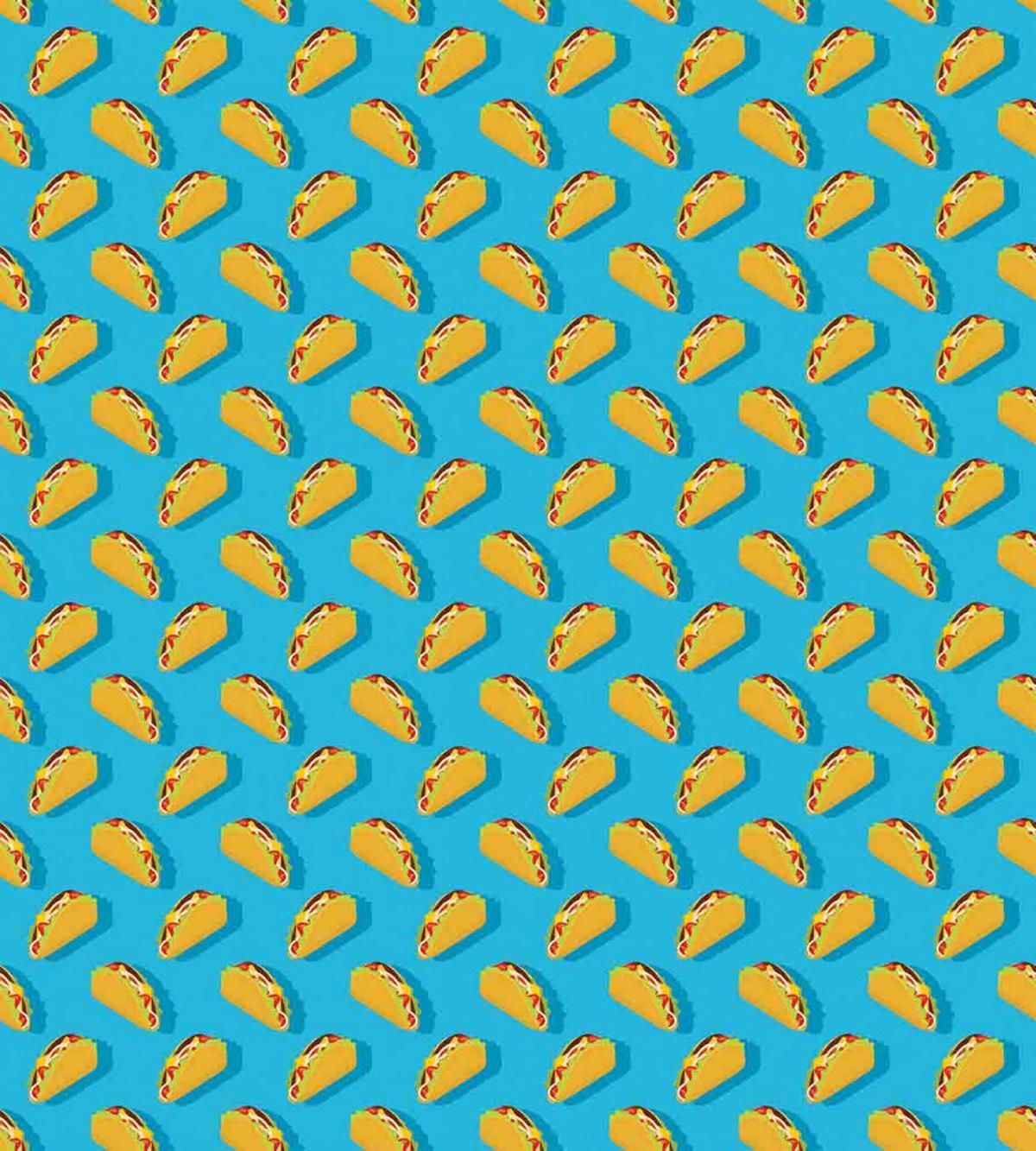 Tortilla with Veggies and Beef — Pattern