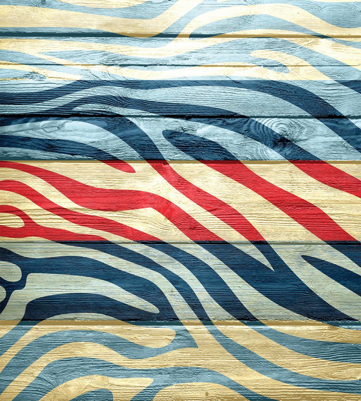 Country Zebra on Wood — Pattern