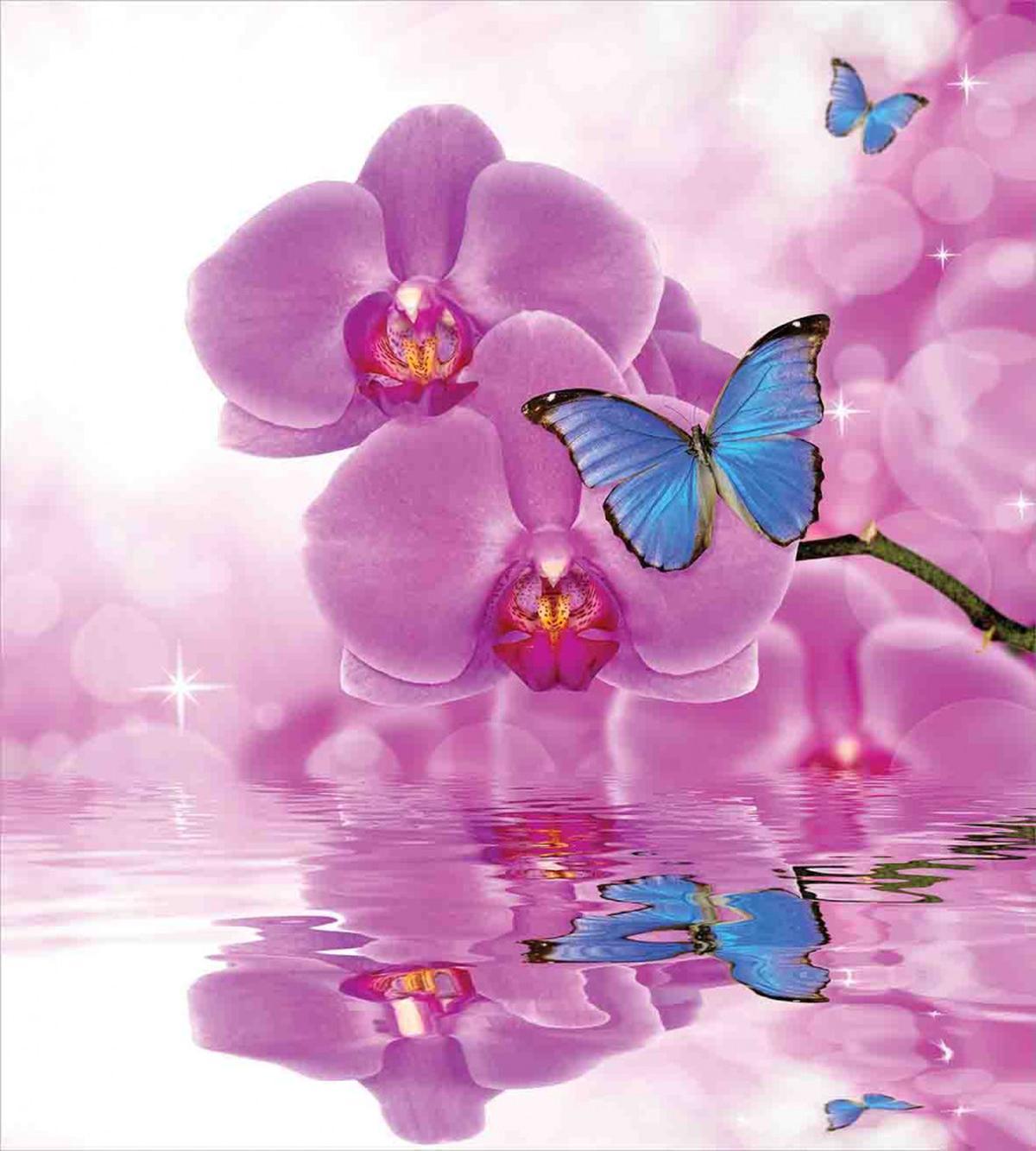 Orchid Bloom on Water — Pattern