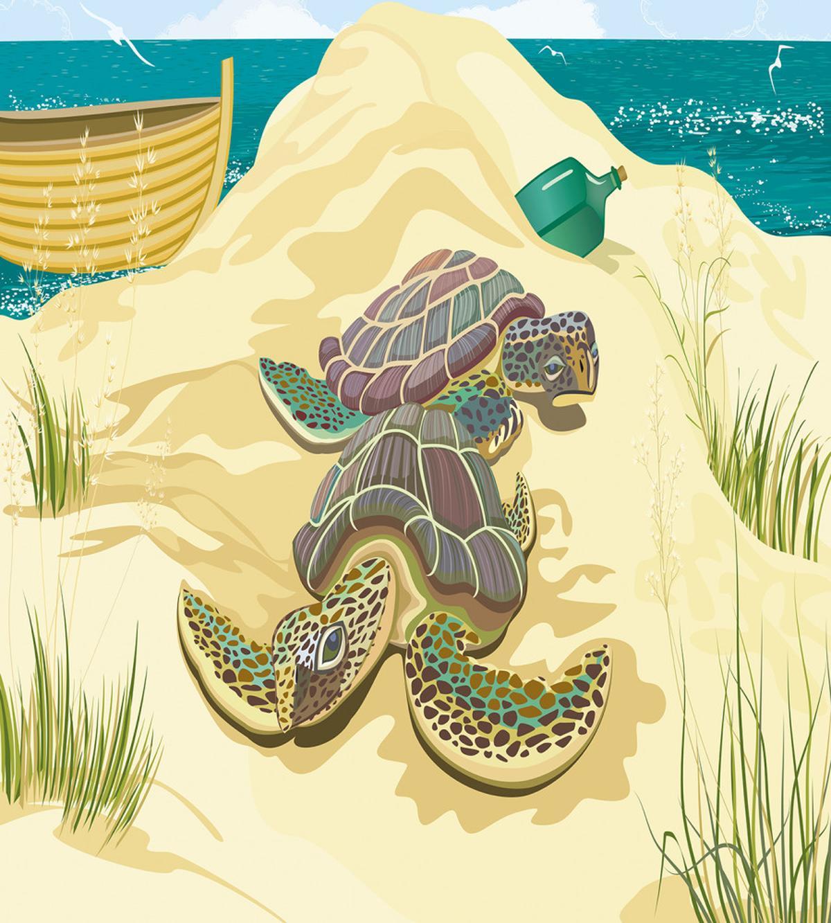 Sea Turtles Sand Boat — Pattern