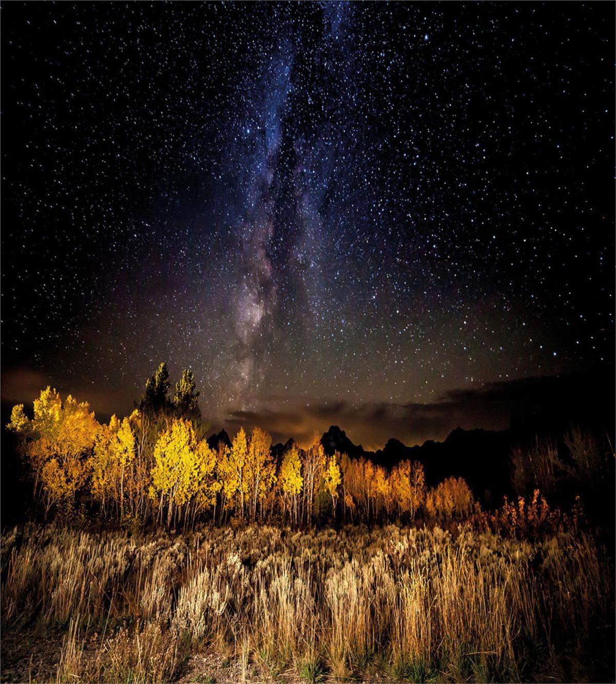 Milky Way Aspens and Tetons — Pattern