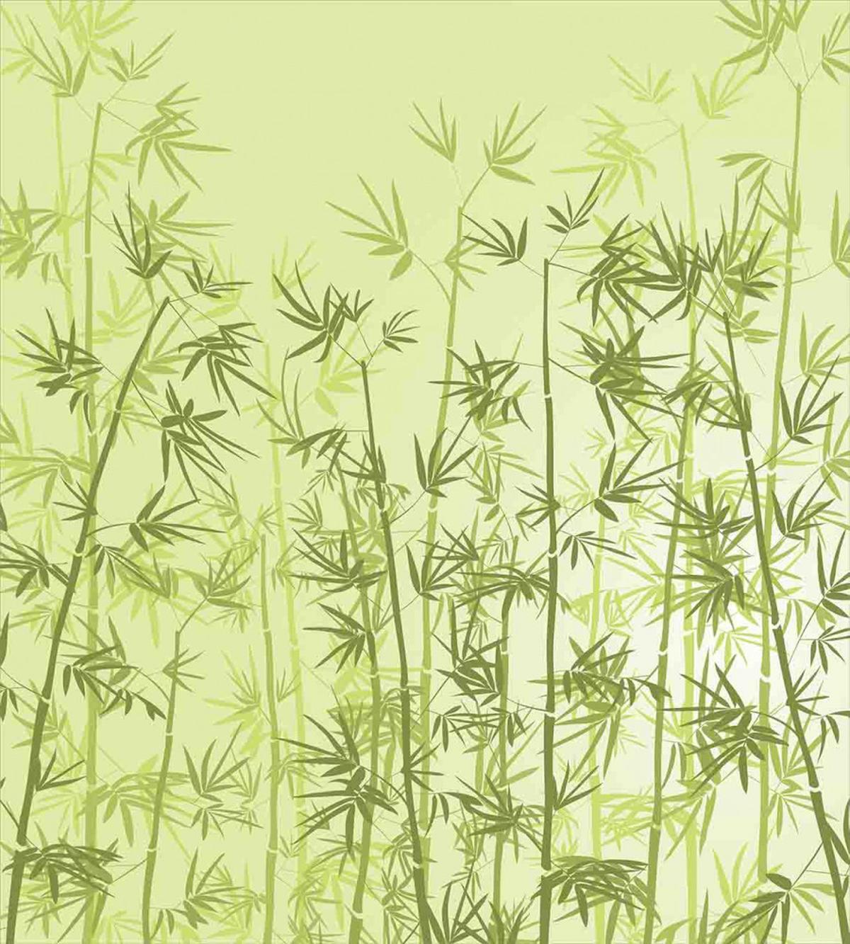 Tropical Growth Forest — Pattern