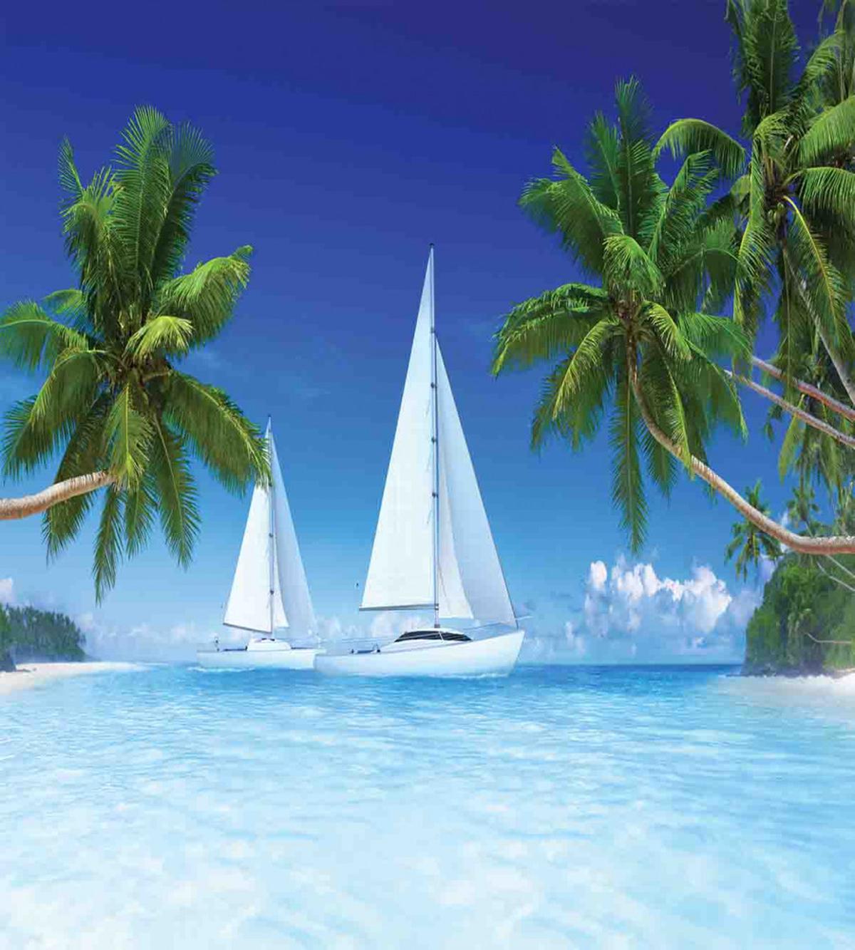 Palm Trees and Sailboats — Pattern