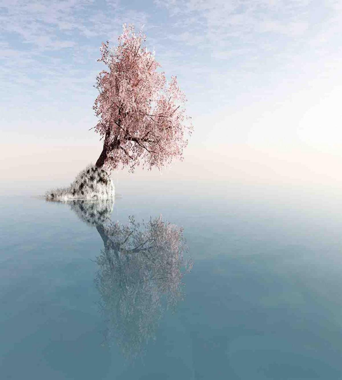 Lonely Tree in Water — Pattern