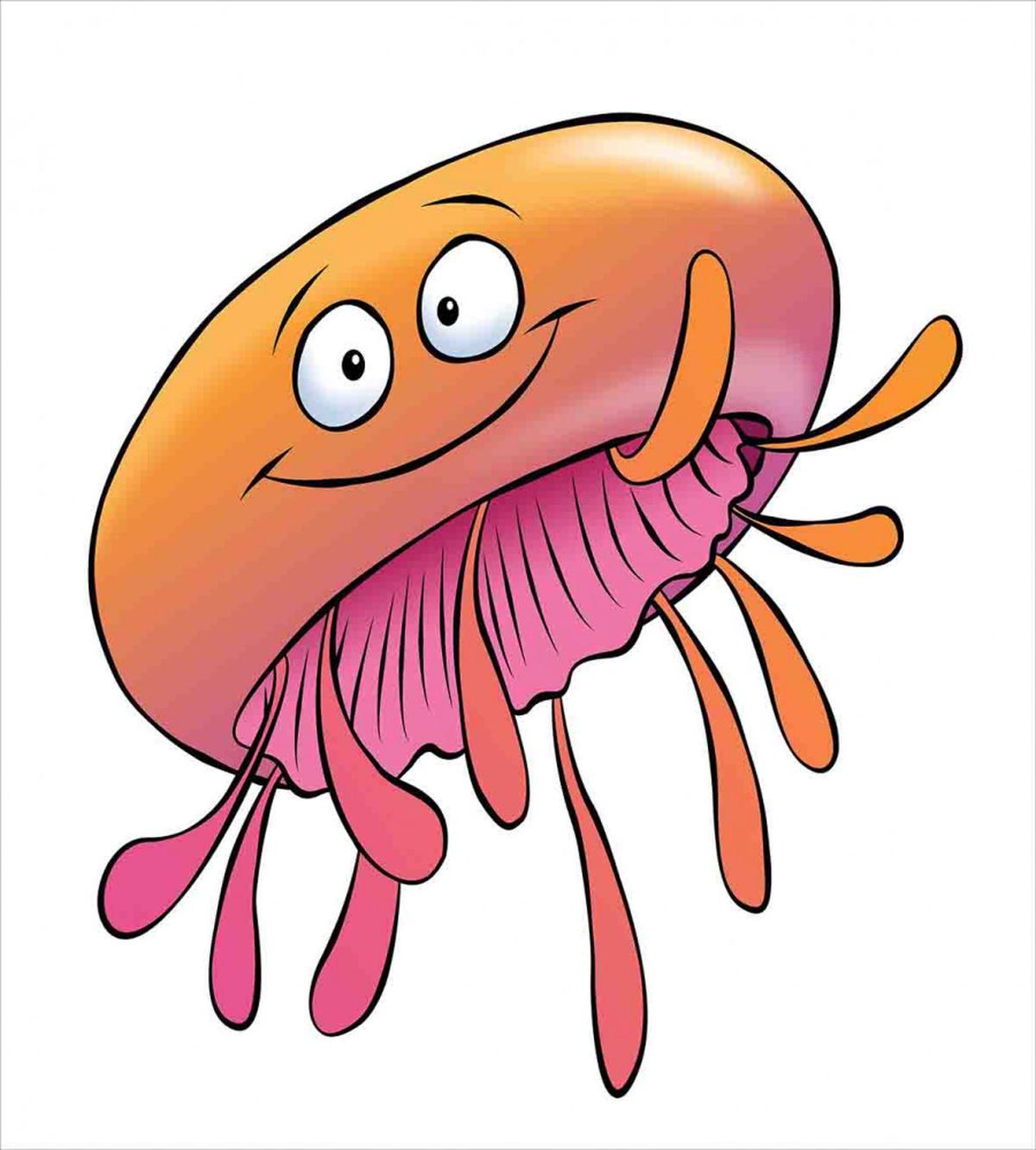 Funny Jellyfish — Pattern