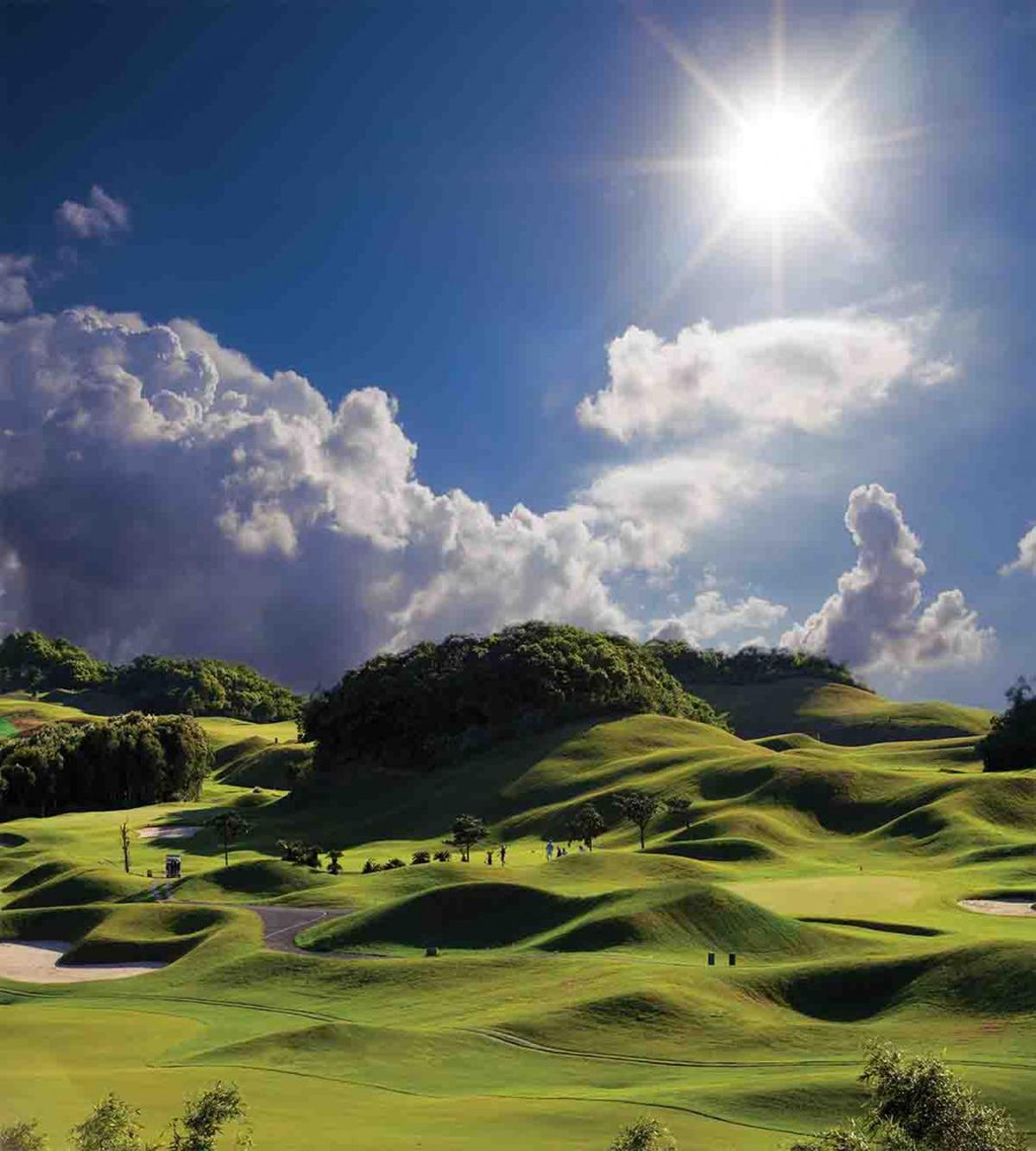 Summer Pasture Grassy Hills — Pattern